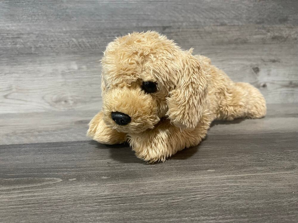 Aurora Golden Retriever Puppy Plush 13” Laying Golden Lab Dog 2019 Flopsie